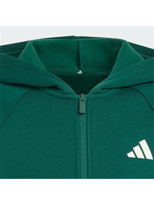 j clgt fz hd ADIDAS | KS5142CGREEN IVORY